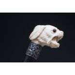 A HALLMARKED SILVER MOUNTED IVORY GOD HEAD HANDLE WALKING CANE - BIRMINGHAM 1893, L 9+1 cm