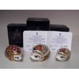 TWO ROYAL CROWN DERBY LIMITED EDITION 'HEDGEHOG' PAPERWEIGHTS, comprising 'Hawthorn' and '