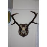 A MODERN SET OF DEER ANTLERS ON MODERN UNION JACK FABRIC COVERED SHIELD
