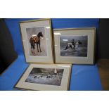 THREE FRAMED AND GLAZED LIMITED EDITION PRINTS DEPICTING HORSES BY ALISON WILSON