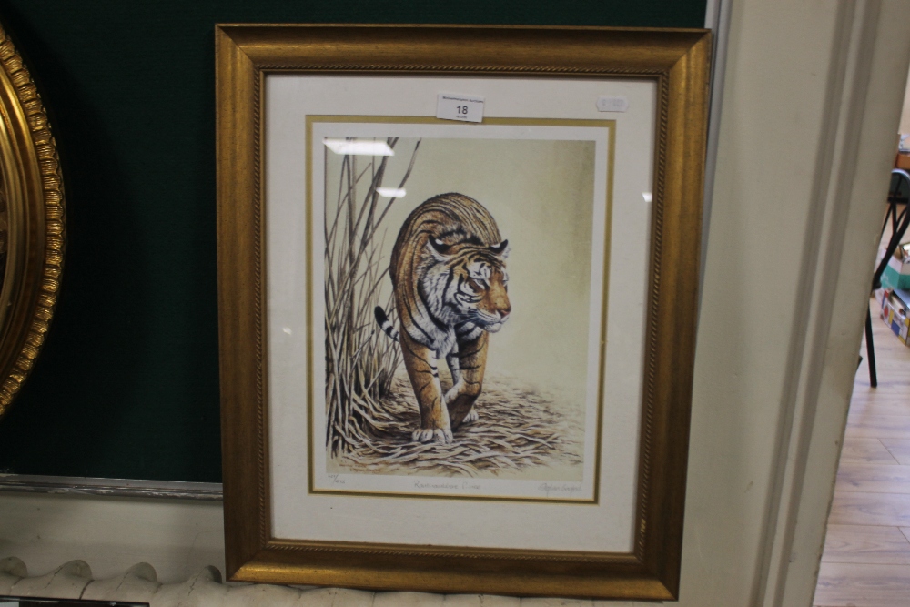 A FRAMED LIMITED EDITION PRINT OF A TIGER SIGNED STEPHEN GAYFORD, APPROX. 41 X 50 CM