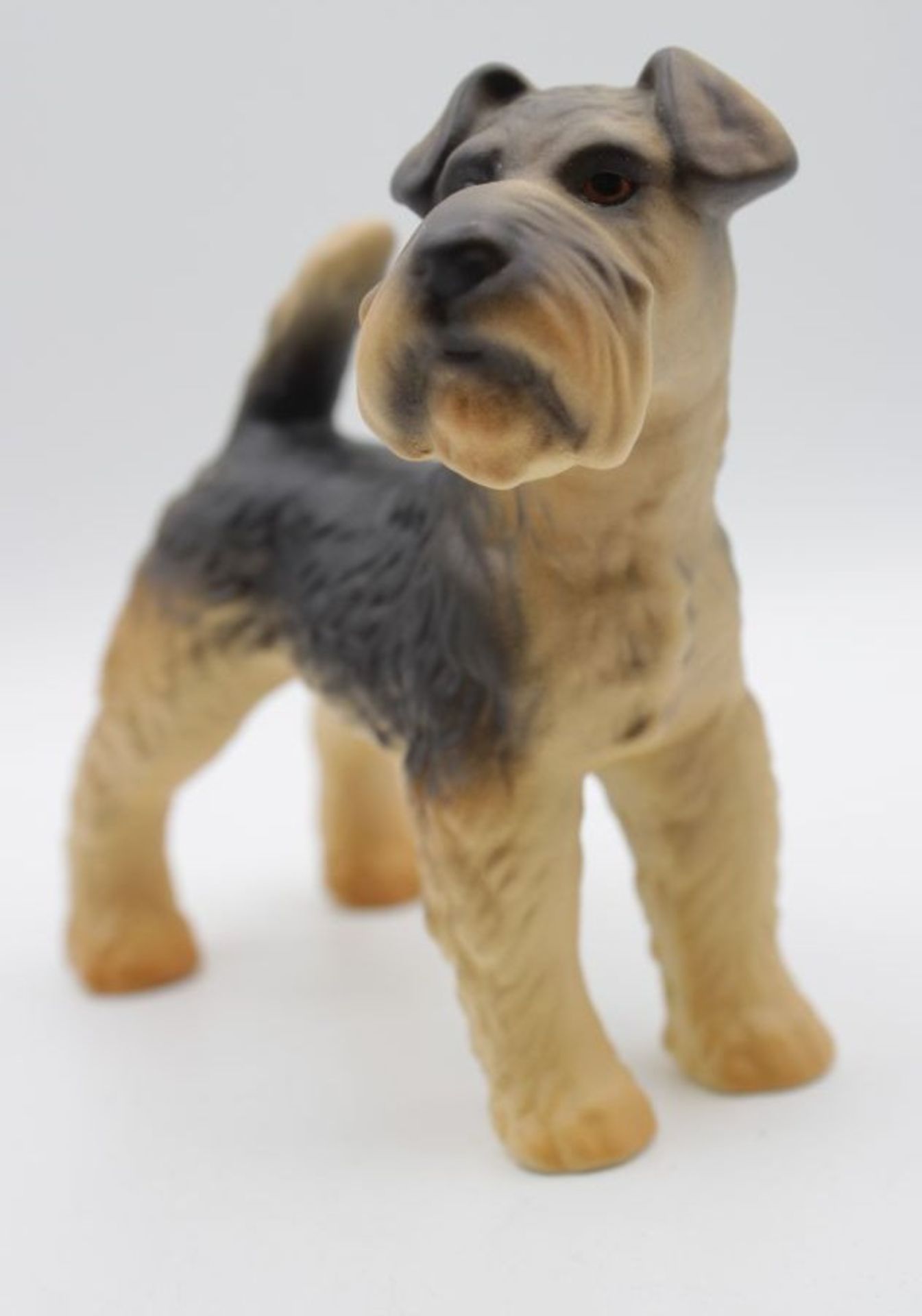 Schnauzer von Geobel, bemalt, H-11cm L-12cm.