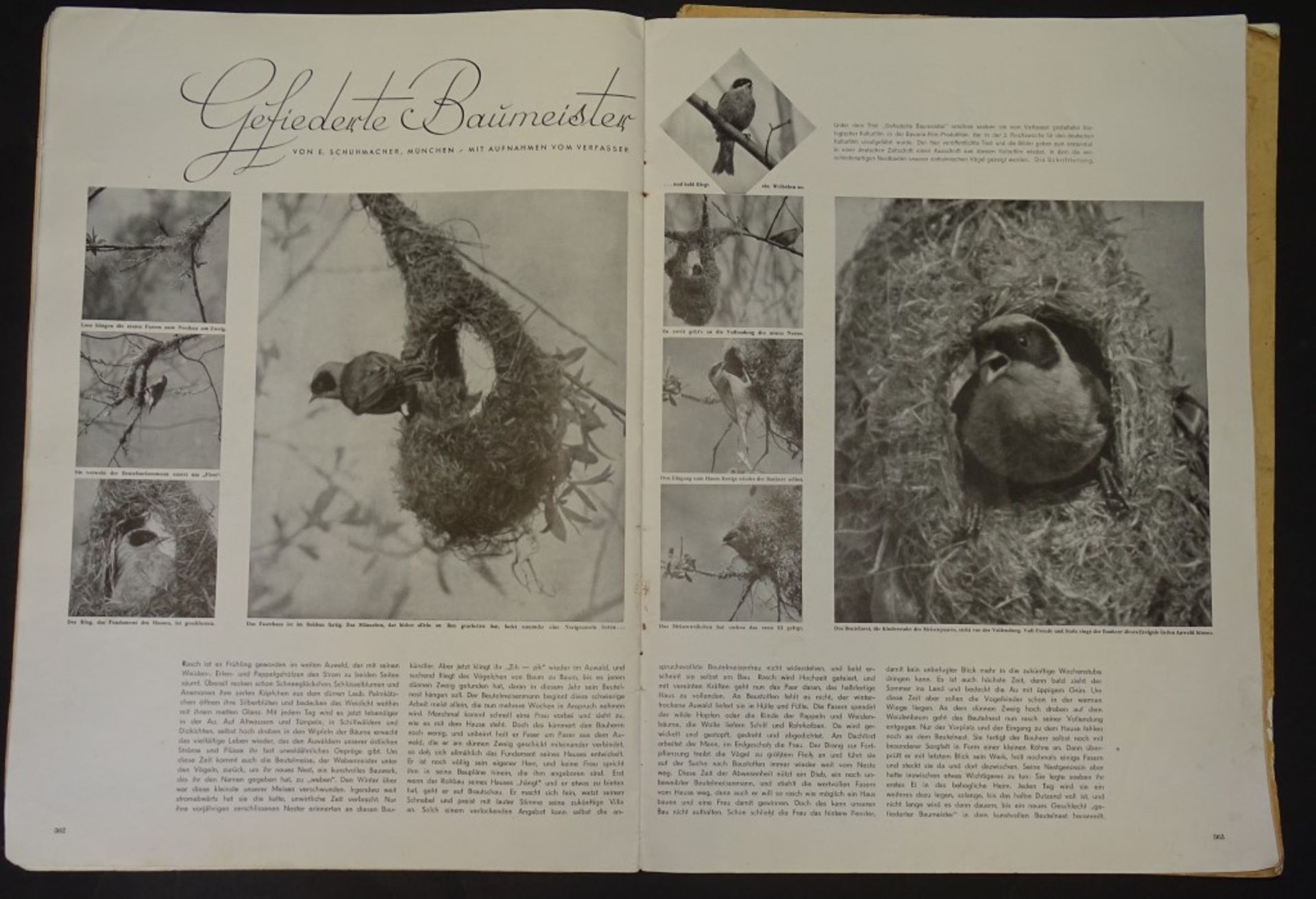Zwei Illustrirte Zeitungen - Leipzig, 1942 / 1943-100.Jahrgang,Nr. 5017 u. 5018, je 38x27,5cm - Bild 10 aus 10