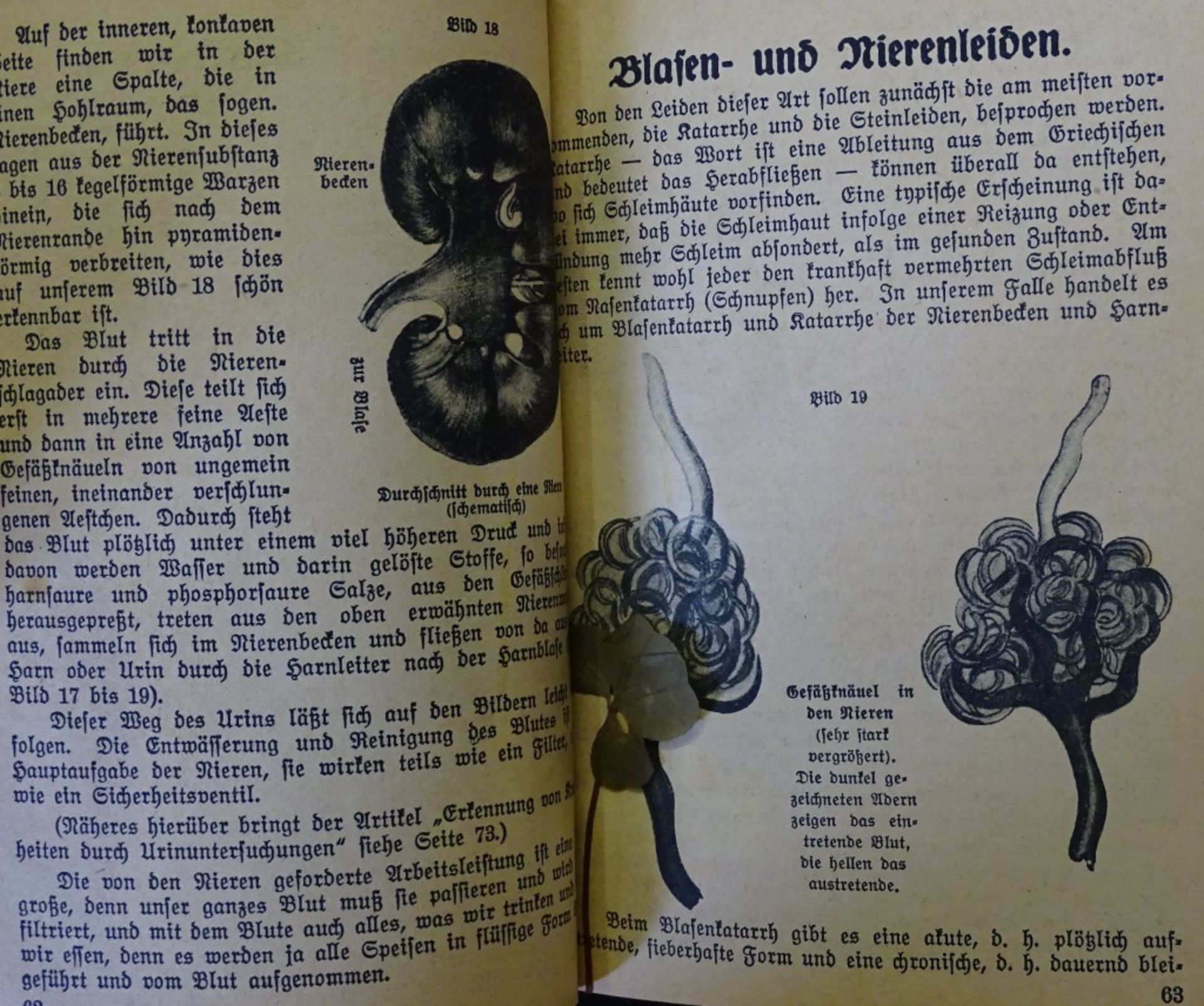 Pfarrer Heumanns "Heilmittel",42.Auflage, 1917 - Bild 7 aus 7