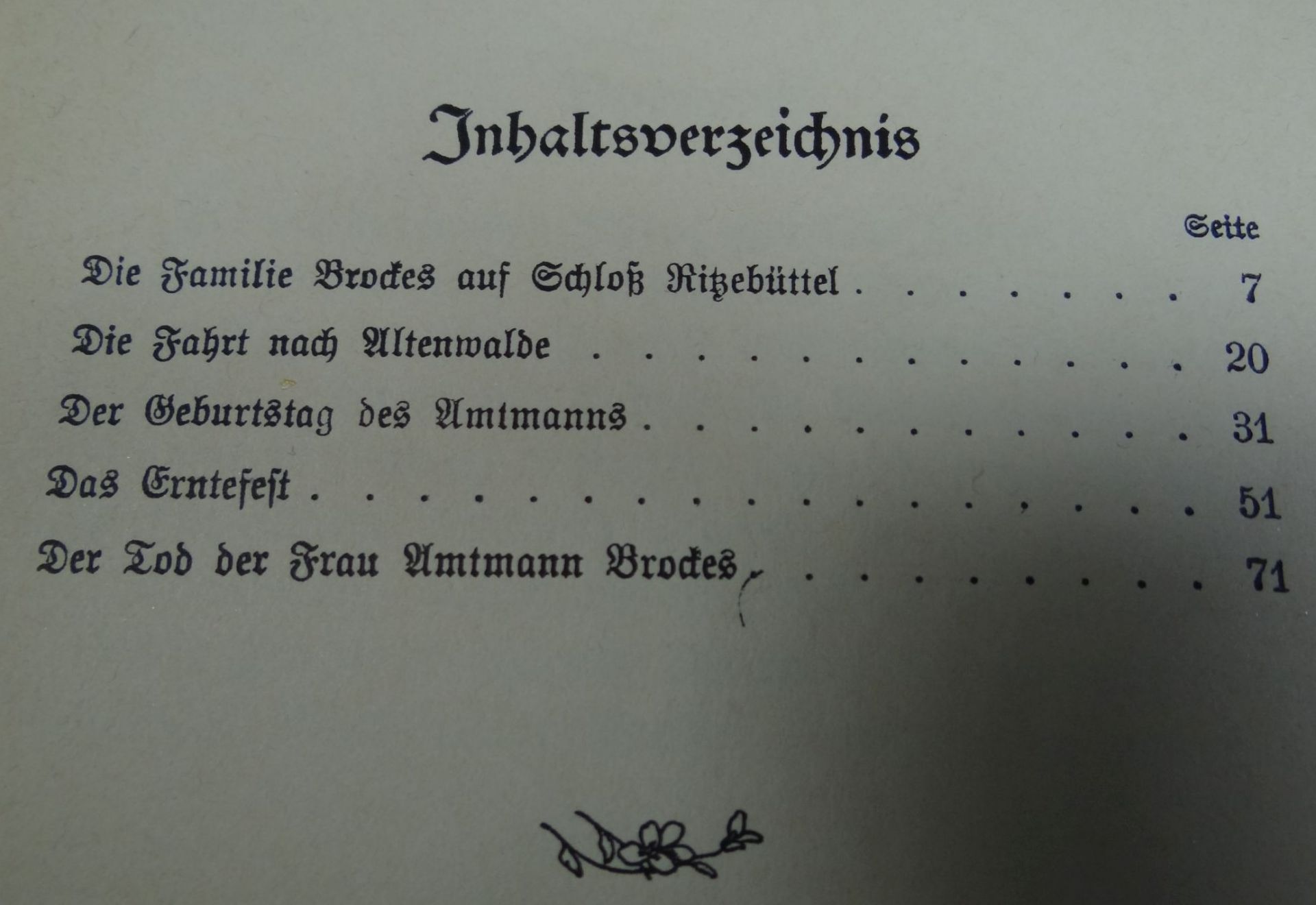 Anna Gerhard "Bilder aus dem Leben der Familie Brockes in Ritzebüttel" 1907, Alters-u. - Bild 3 aus 5