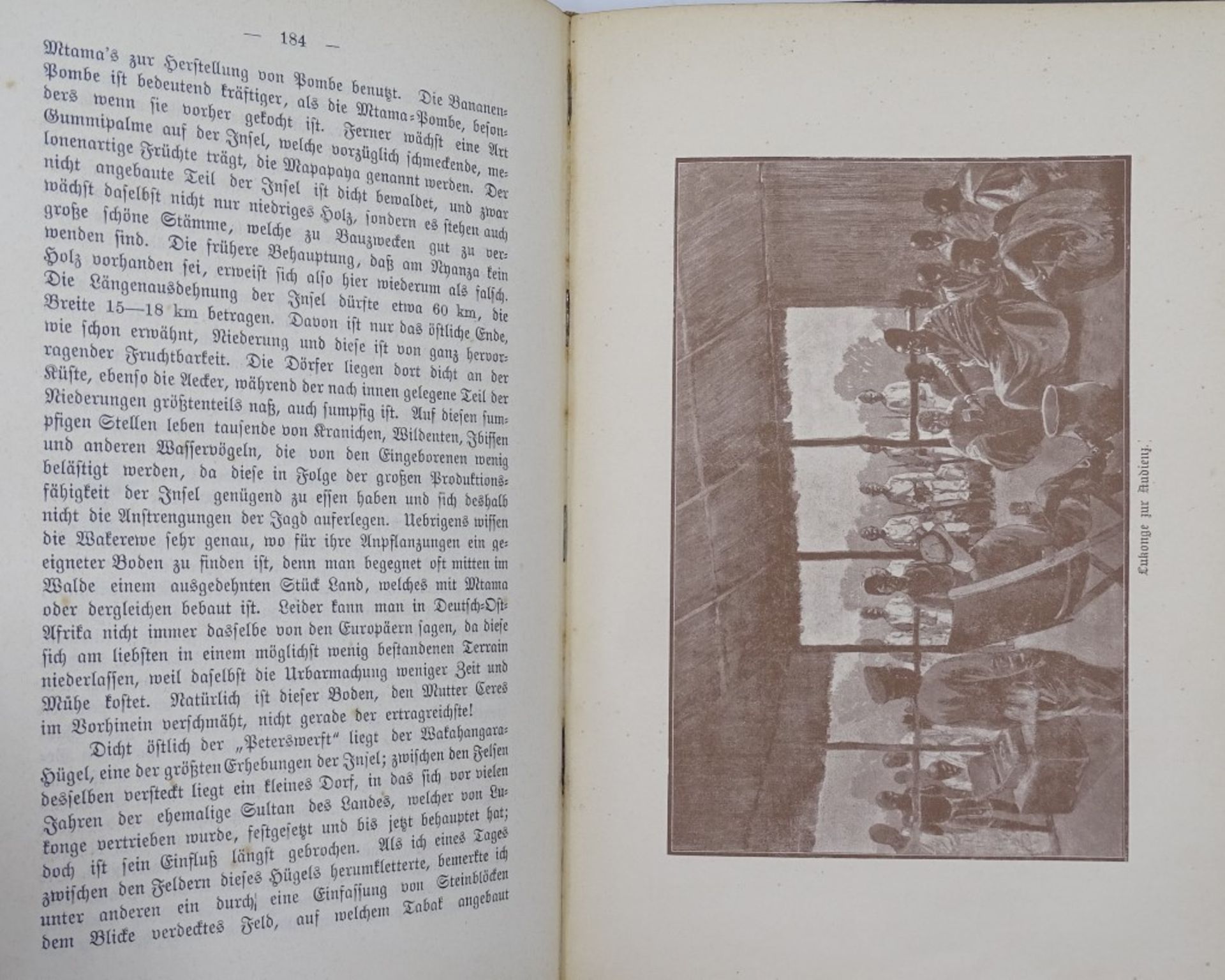 Zum Victoria Nyanza,Berlin 1894 - Bild 3 aus 9