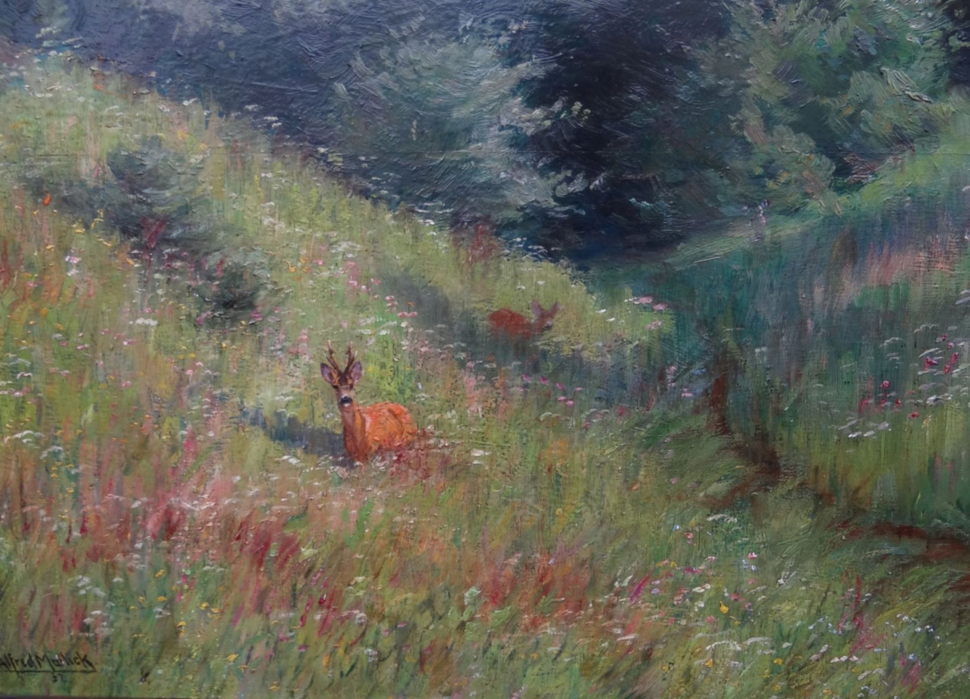 Alfred MAILICK (1869-1946) "Rehe in Wiese" Öl/Platte, gerahmt, RG 64x83 c - Bild 3 aus 7