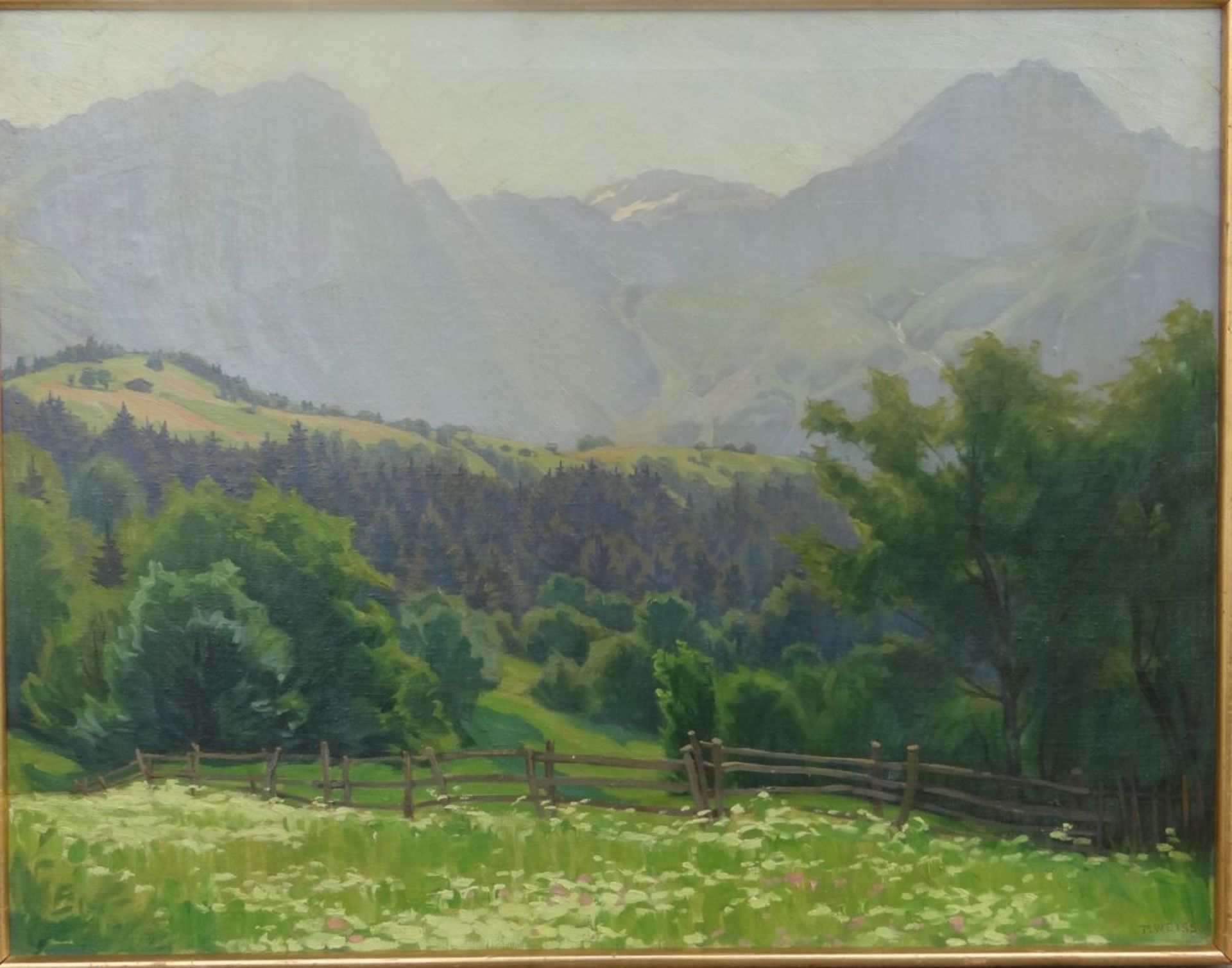 P. Weiss "Gebirgslandschaft", Öl/Leinen, gerahmt, RG 72x92 c