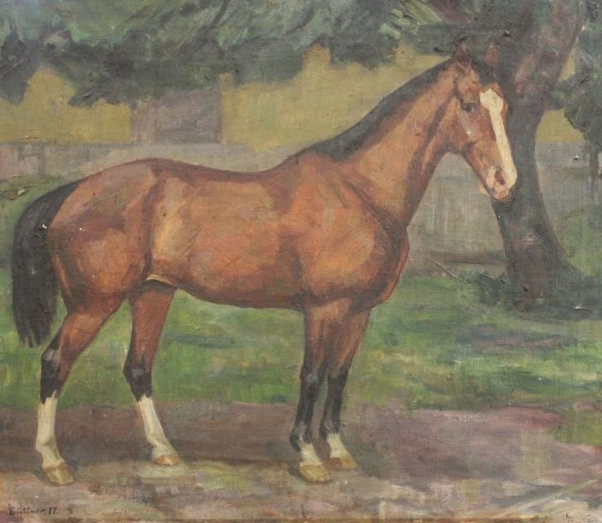 Büttner '27 "Pferdeportrait", Öl/Leinwand, ungerahmt, leicht restaurierungs bedürftig, 58 x 67c