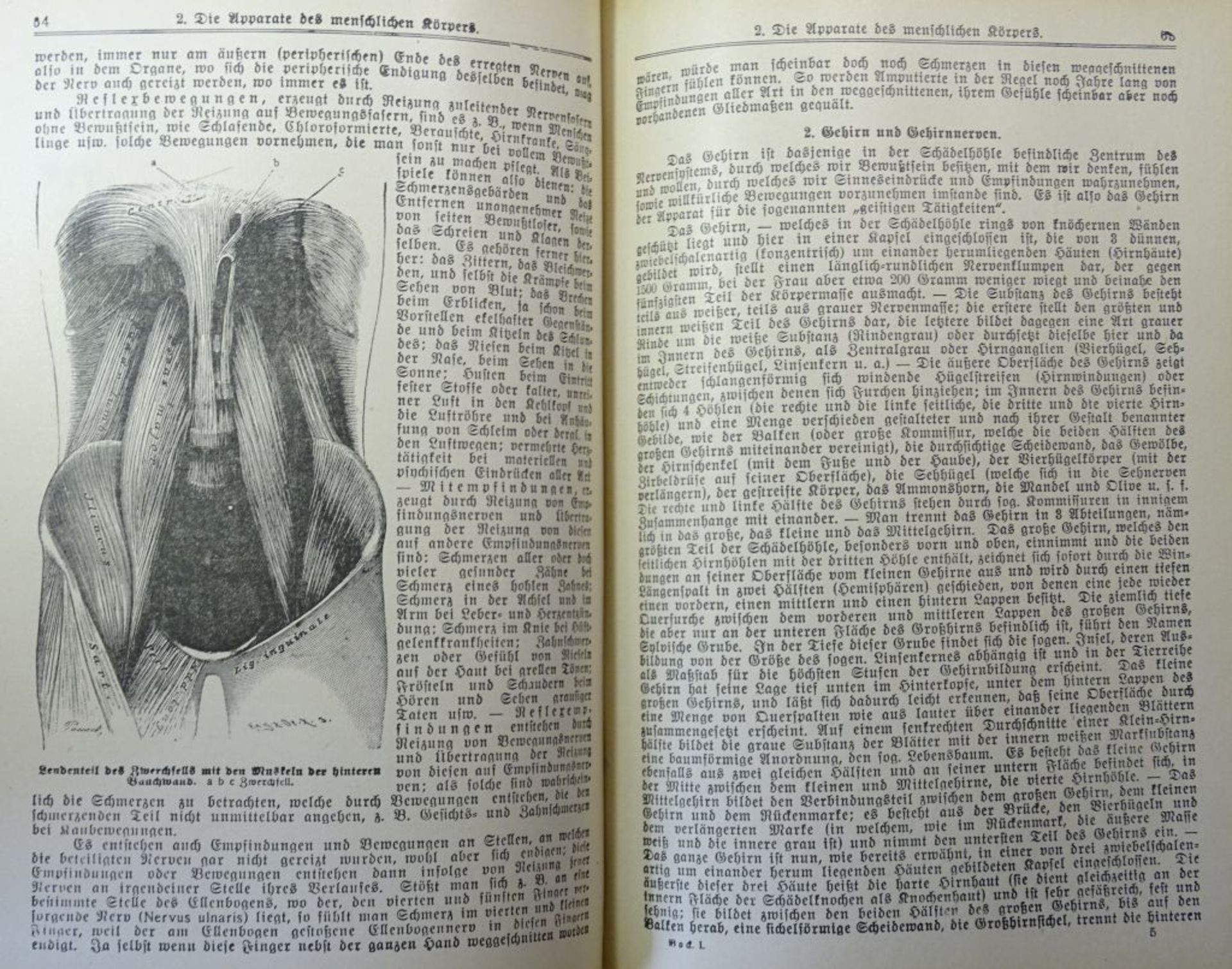 Prof.Dr.C.E.Bock, Das Buch vom gesunden u. kranken Menschen, 1. u. 2. Band, 1921. - Image 3 of 5