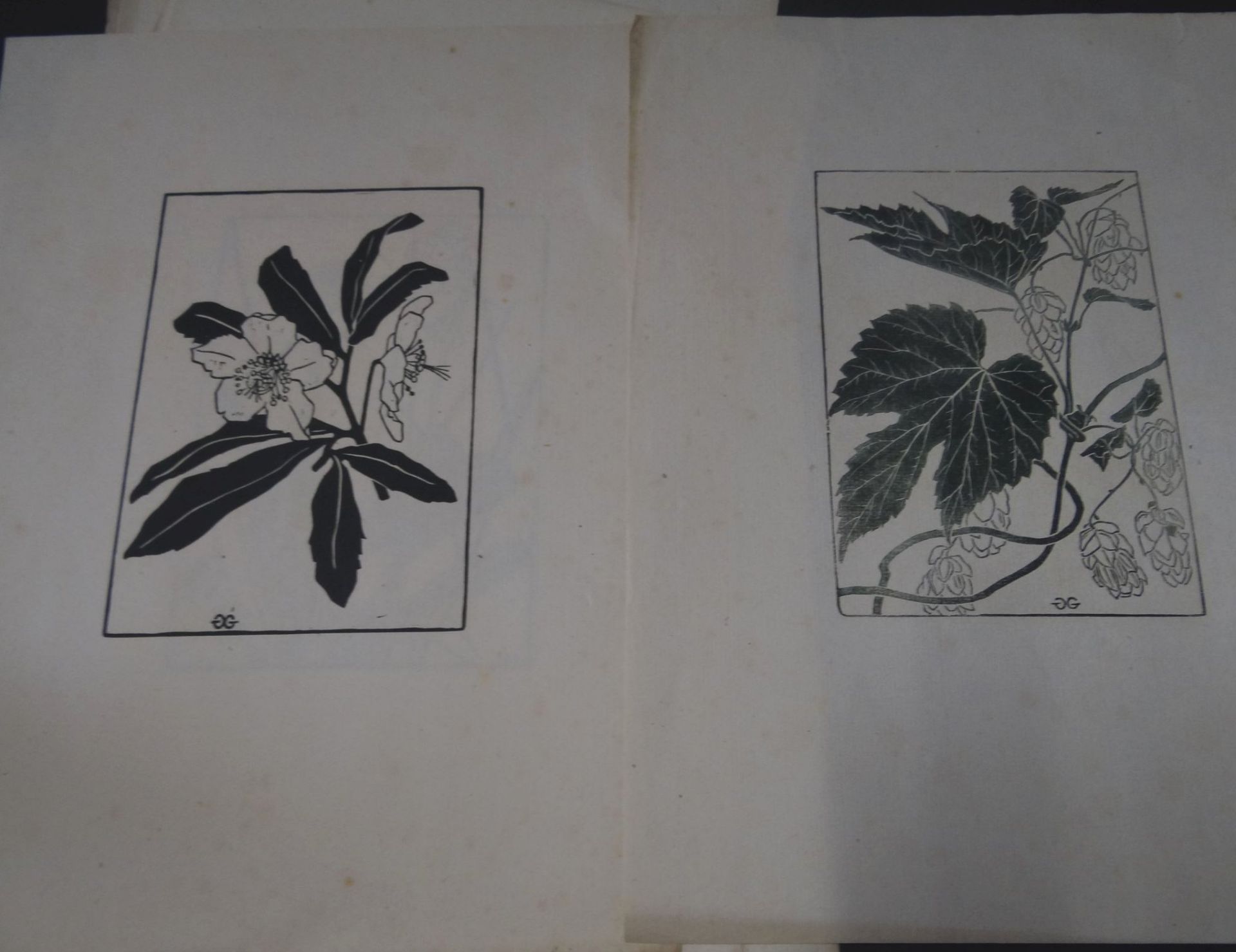 9x Blumengrafiken in Platte Monogrammiert, , BG 35x28 cm, Alters-u. Gebrauchsspuren, tw. fleckig