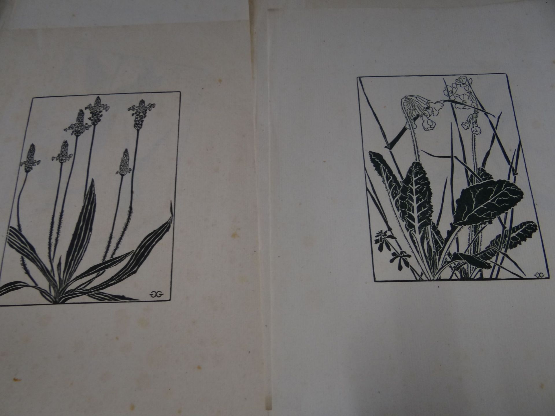 9x Blumengrafiken in Platte Monogrammiert, , BG 35x28 cm, Alters-u. Gebrauchsspuren, tw. fleckig - Bild 2 aus 6