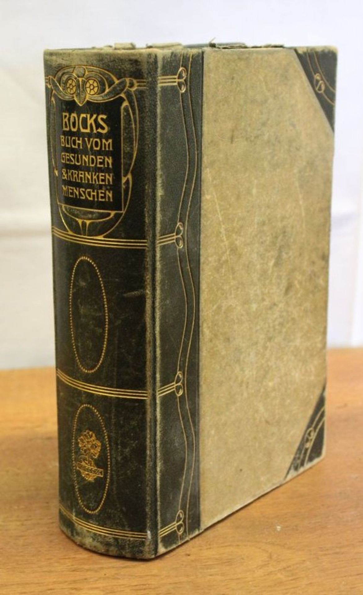 Dr. C.E.Bock, Das Buch vom gesunden und kranken Menschen, um 1904, starke Alters-u.