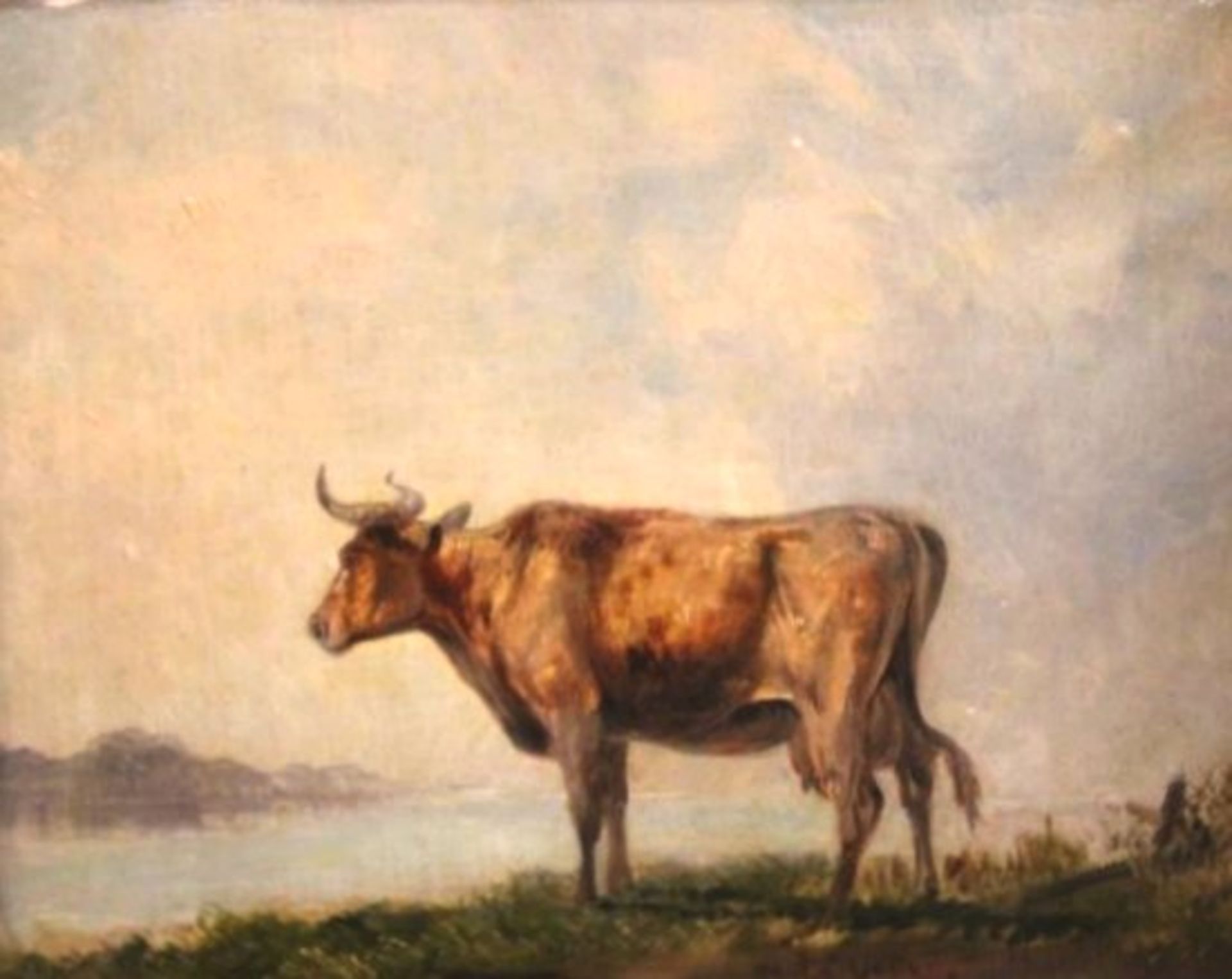 wohl Paulus POTTER (1625-1654), Kuh auf der Weide, Öl/Holz, alt gerahmt, Rahmen mit