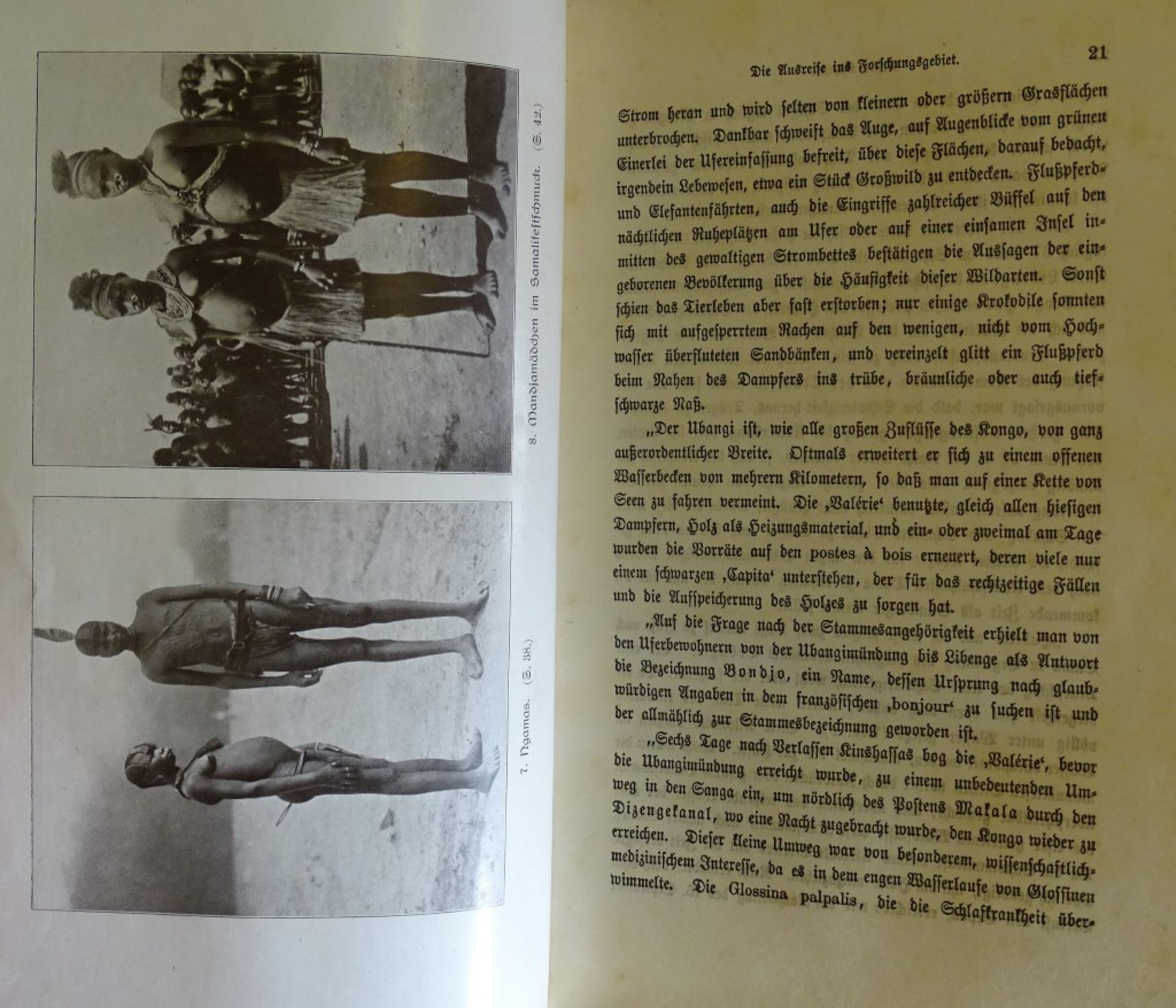 Von Kongo zum Niger und Nil,Band I+II,Adolf Friedr.Herzog zu Mecklenburg, 1912 - Bild 5 aus 10