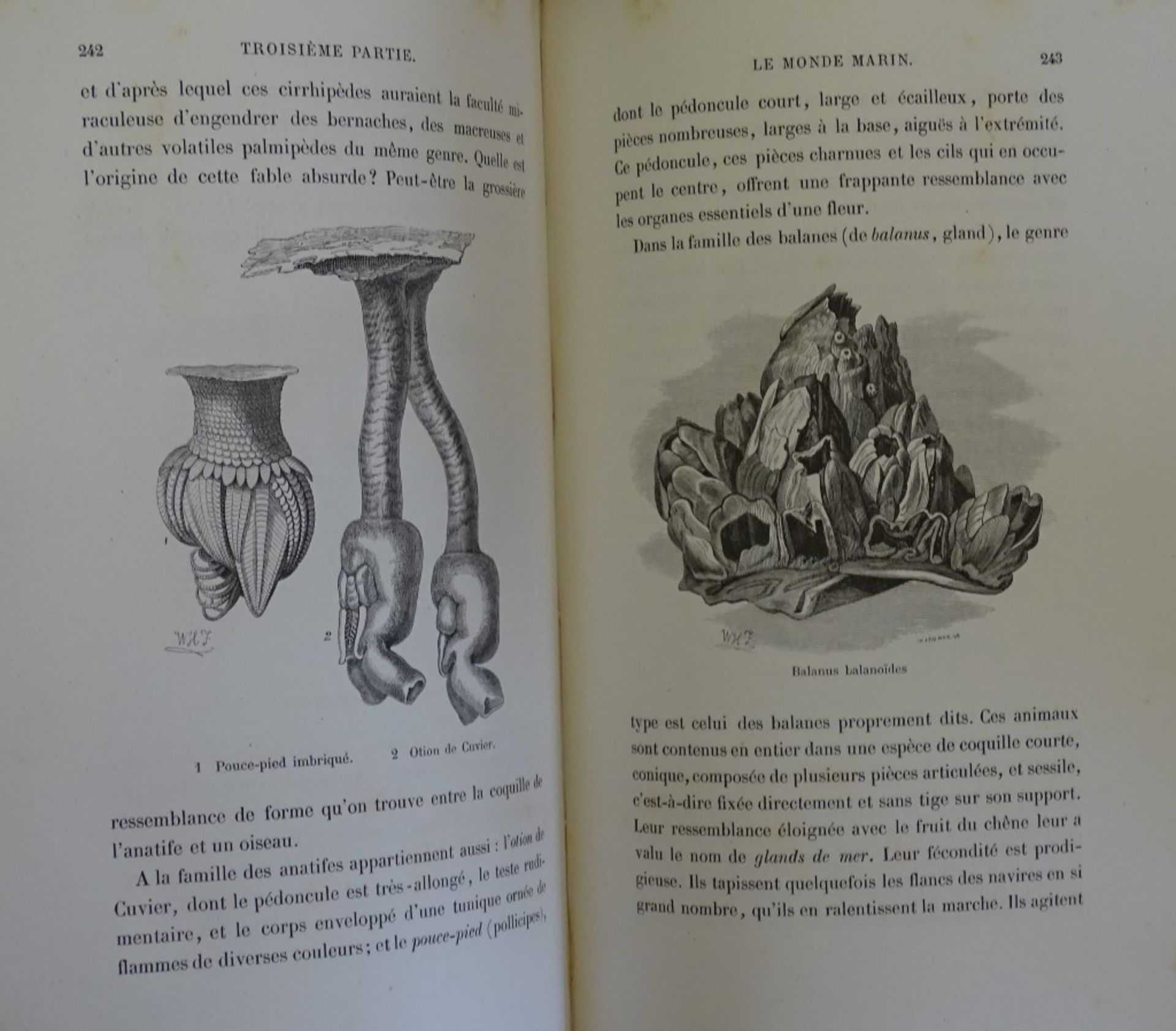 Les Mystéres de L´Océan (die Geheimnisse des Ozeans),in französich geschri - Bild 5 aus 9