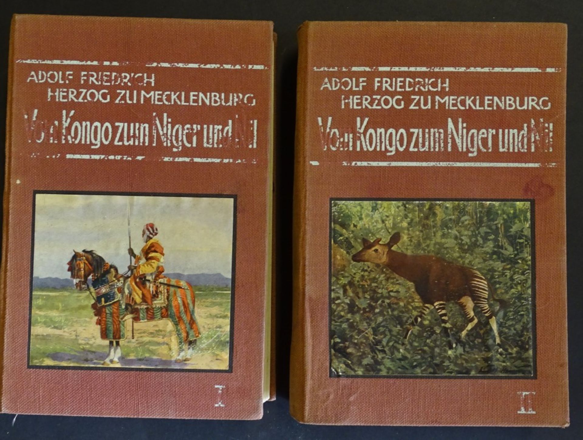 Von Kongo zum Niger und Nil,Band I+II,Adolf Friedr.Herzog zu Mecklenburg, 1912
