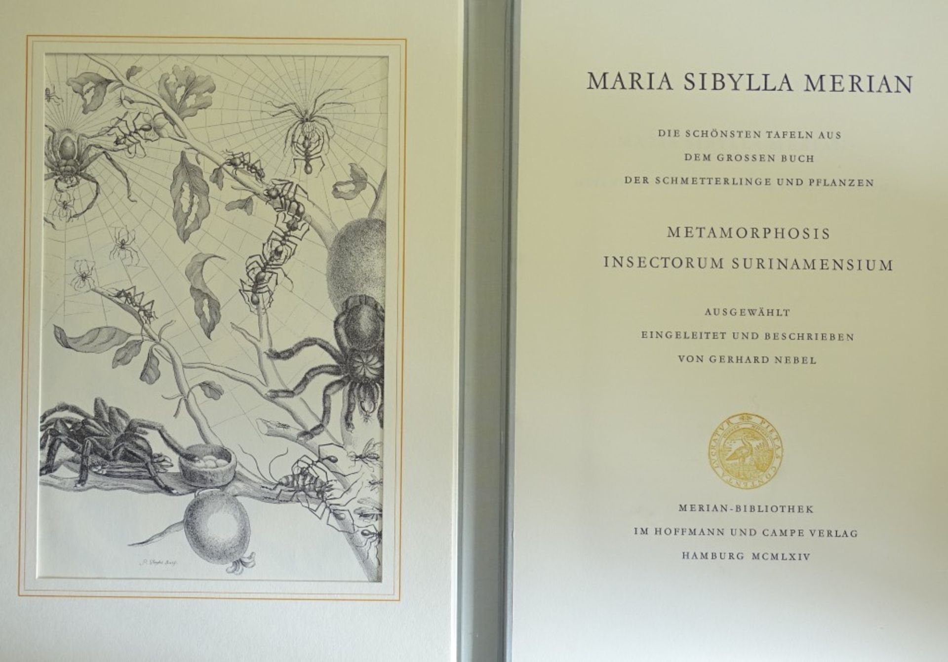 Kunstmappe - Maria Sibylla Merian,1964, mit 12 Grafiken,Band 46,5x32cm - Bild 2 aus 10