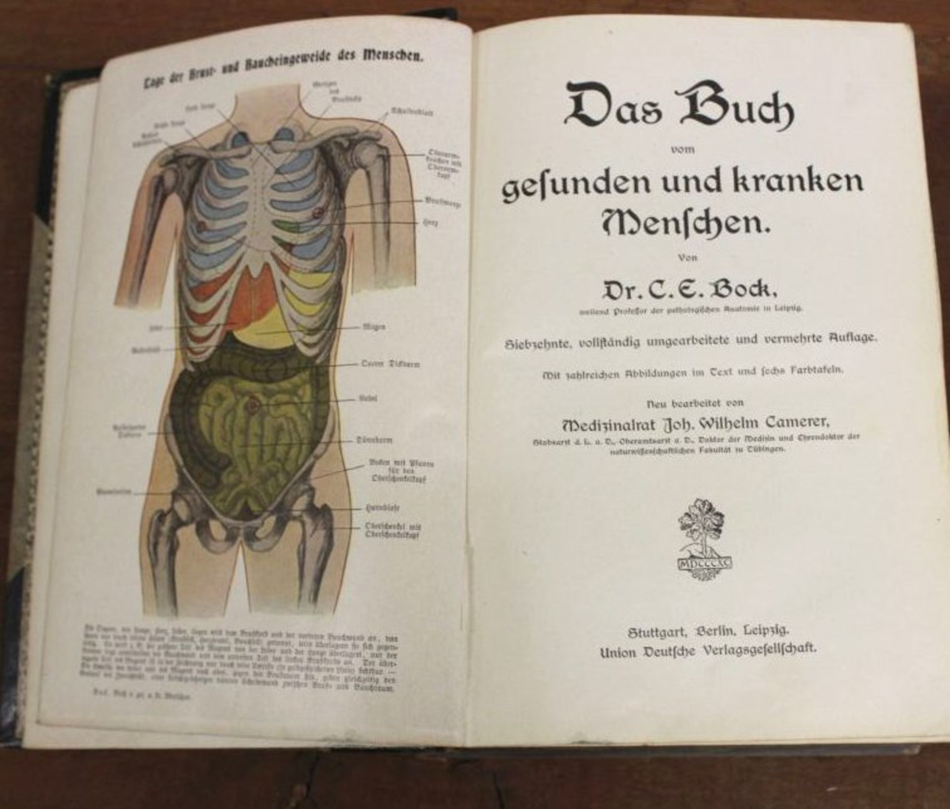 Dr. C.E.Bock, Das Buch vom gesunden und kranken Menschen, um 1904, starke Alters-u. - Bild 2 aus 2