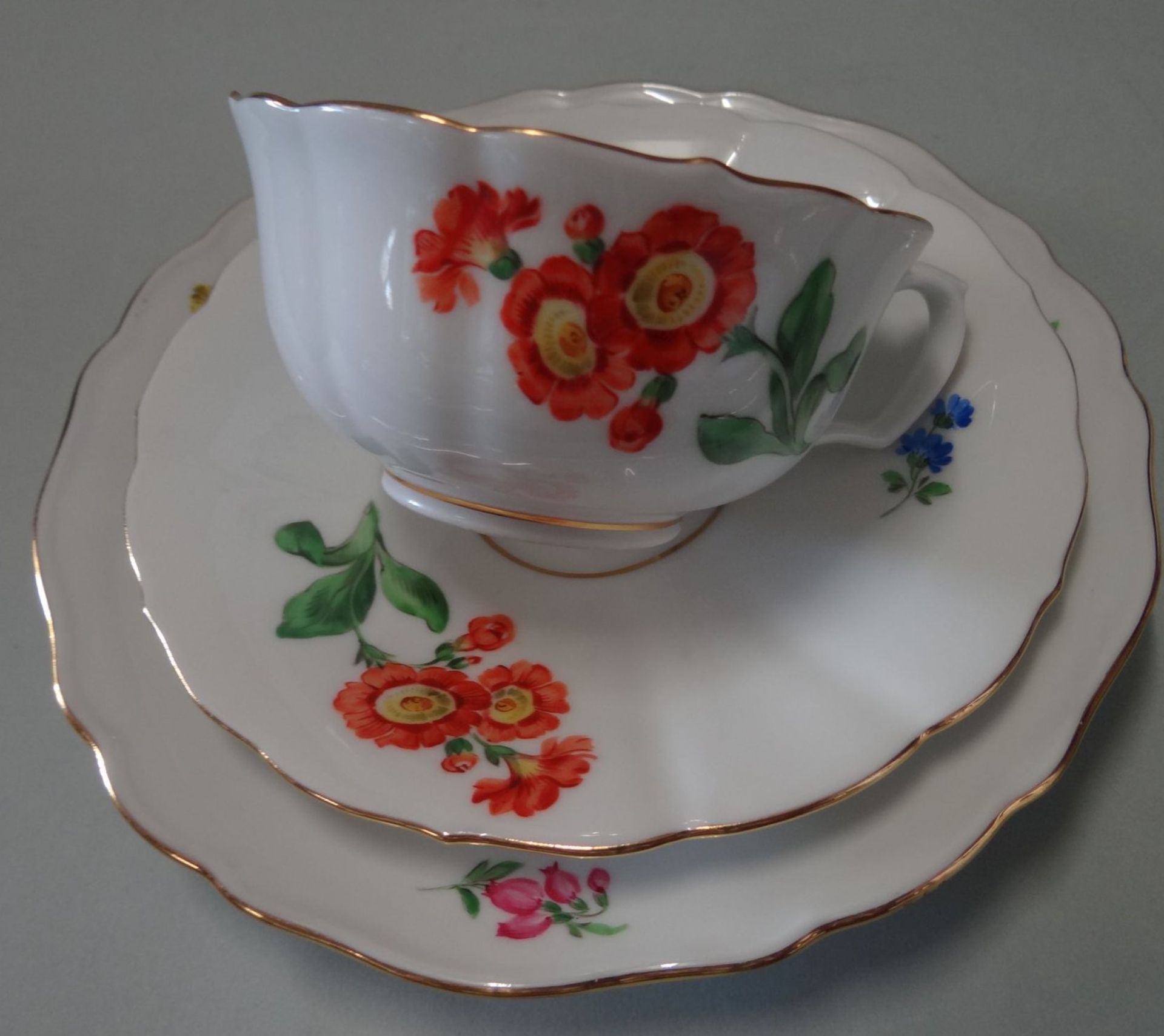 Kaffeegedeck "Meissen" Blumendekor (rot), Schwerter durchschliffen