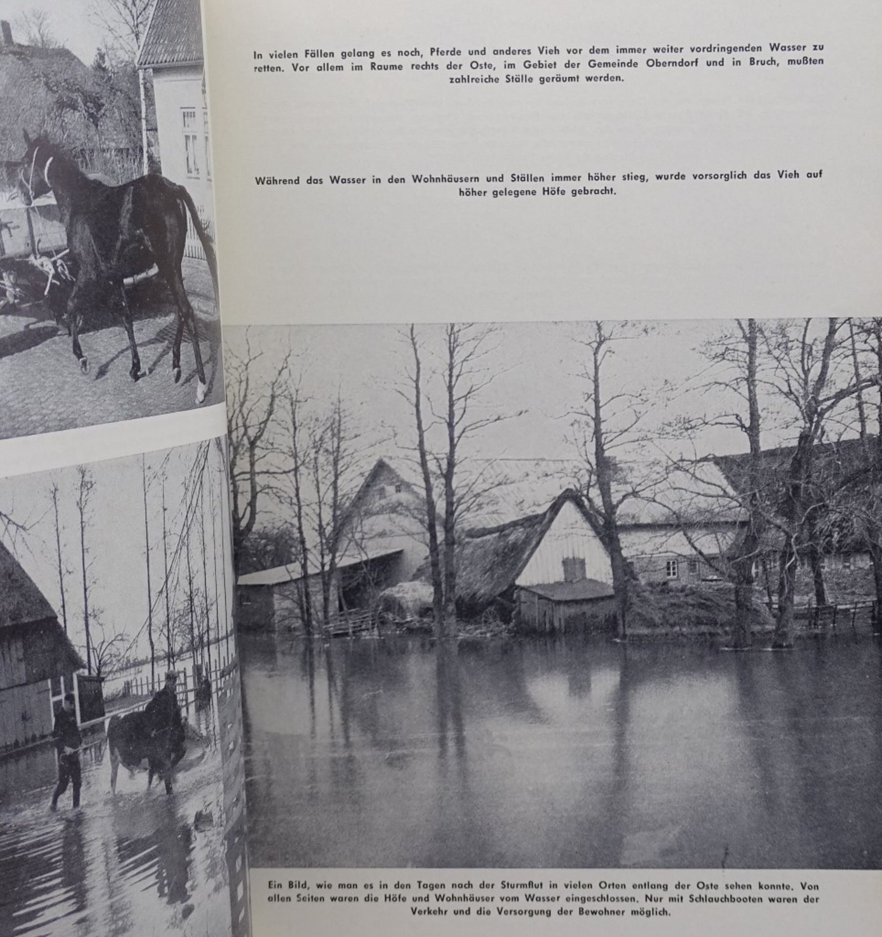 "Die große Februarflur 1962 an Elbe,Weser und Oste-Mündung" - Bild 4 aus 7