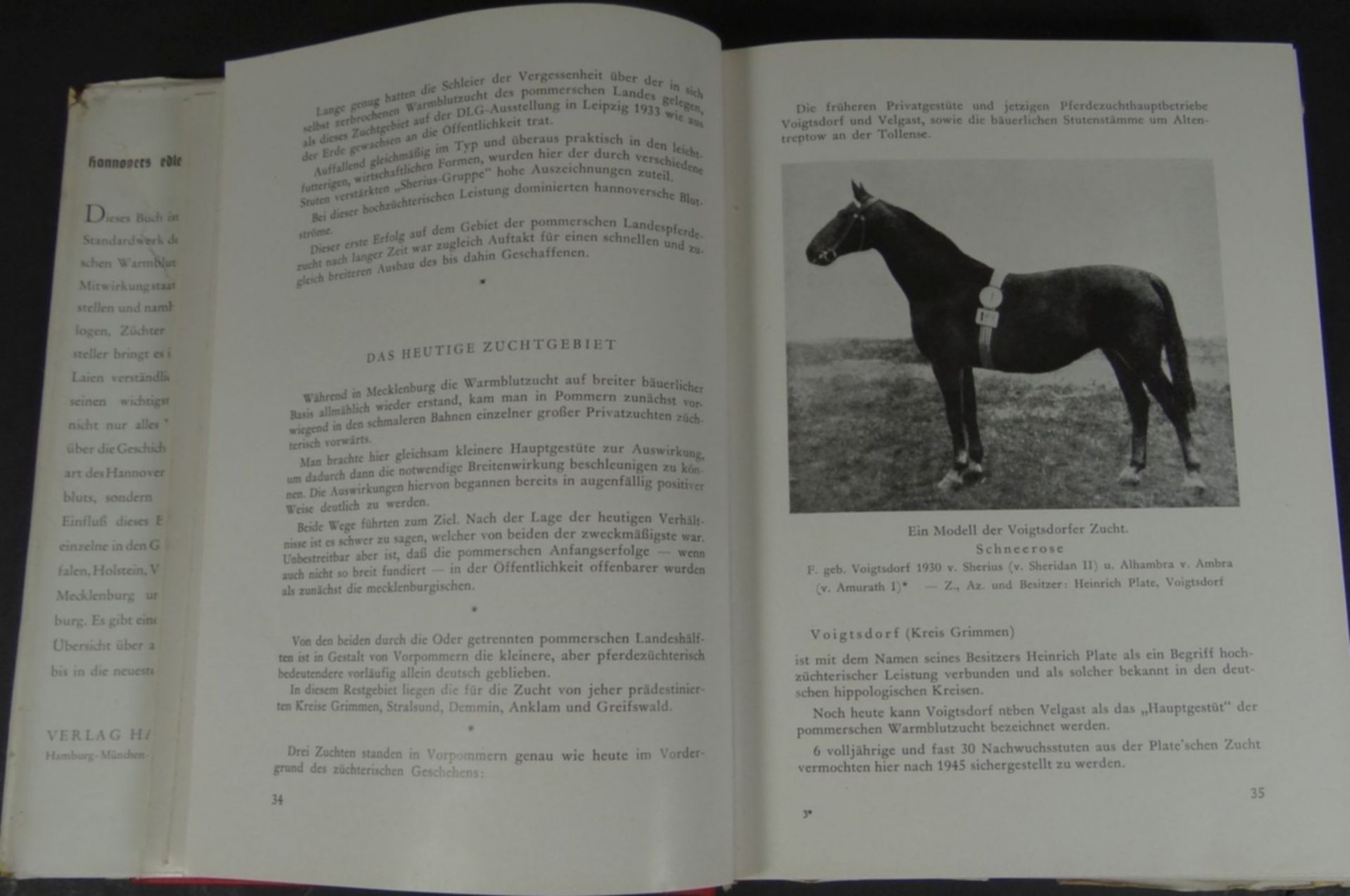 2x Bücher über Hannerv. Warmblut und Pferdezucht um 1950, viele Fot - Image 7 of 8