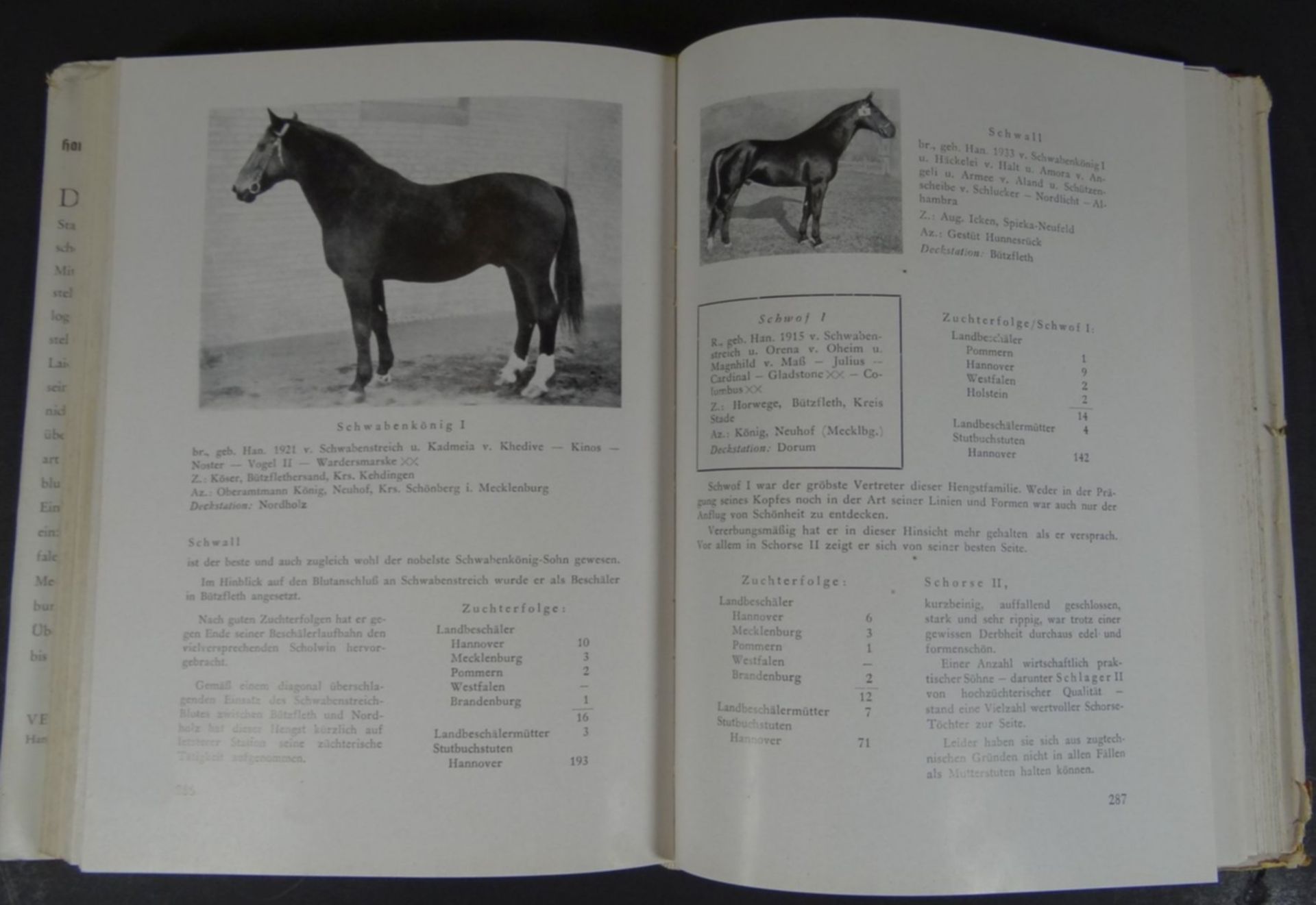 2x Bücher über Hannerv. Warmblut und Pferdezucht um 1950, viele Fot - Image 8 of 8