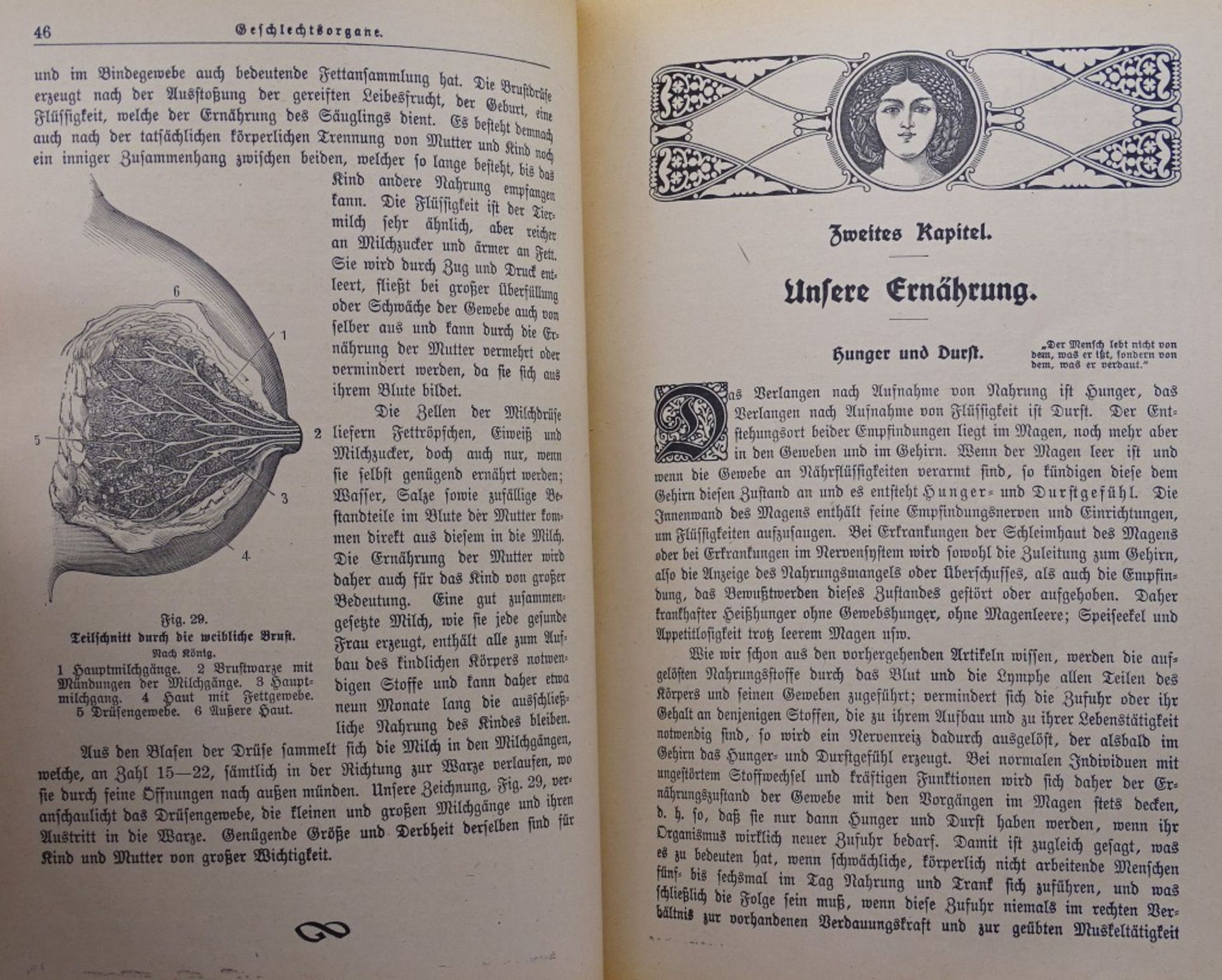 "Die Frau als Hausärztin",Das goldene Familienbuch,1919,Naschlagebuc - Bild 7 aus 9