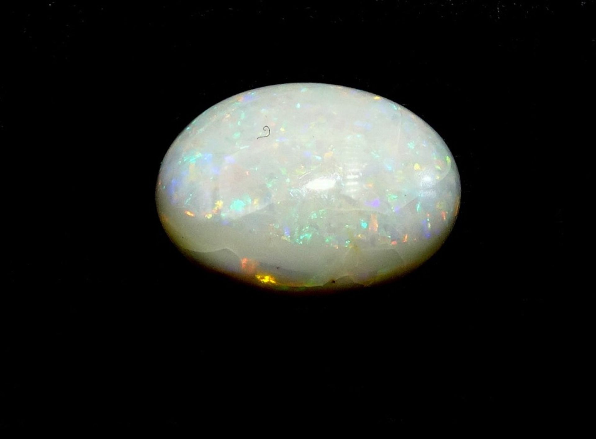 Opal Cabochon 3,75ct.,weiß/rot,,blau und grün,14,2x10,3x4,1