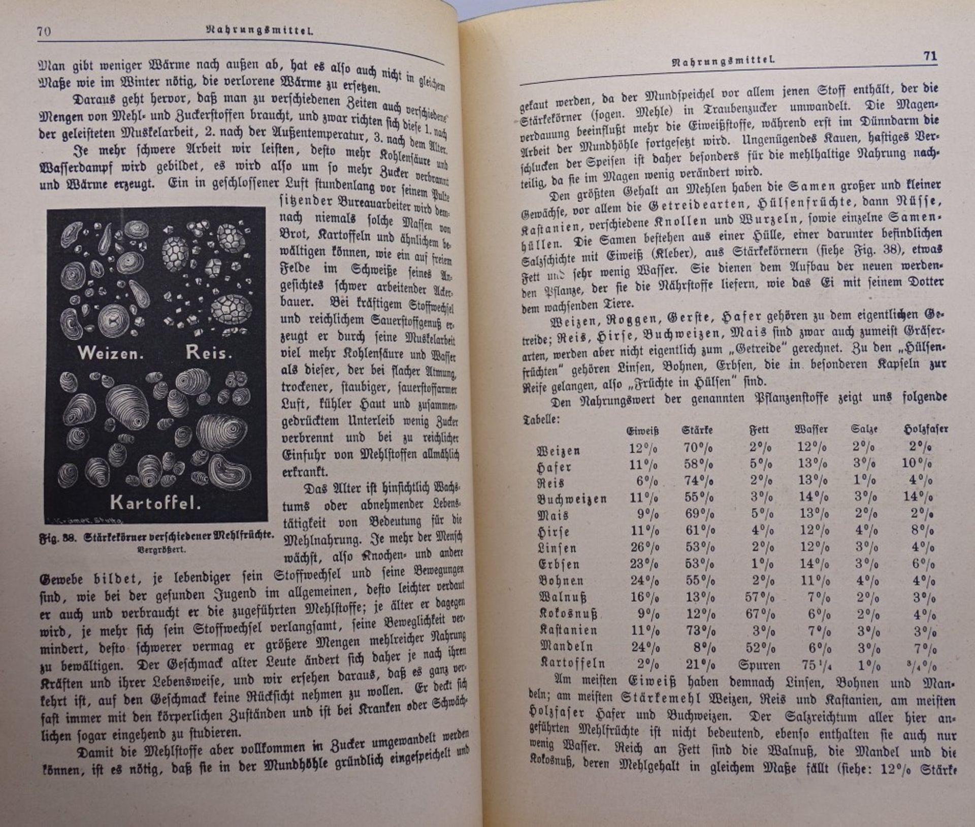 "Die Frau als Hausärztin",Das goldene Familienbuch,1919,Naschlagebuc - Bild 6 aus 9