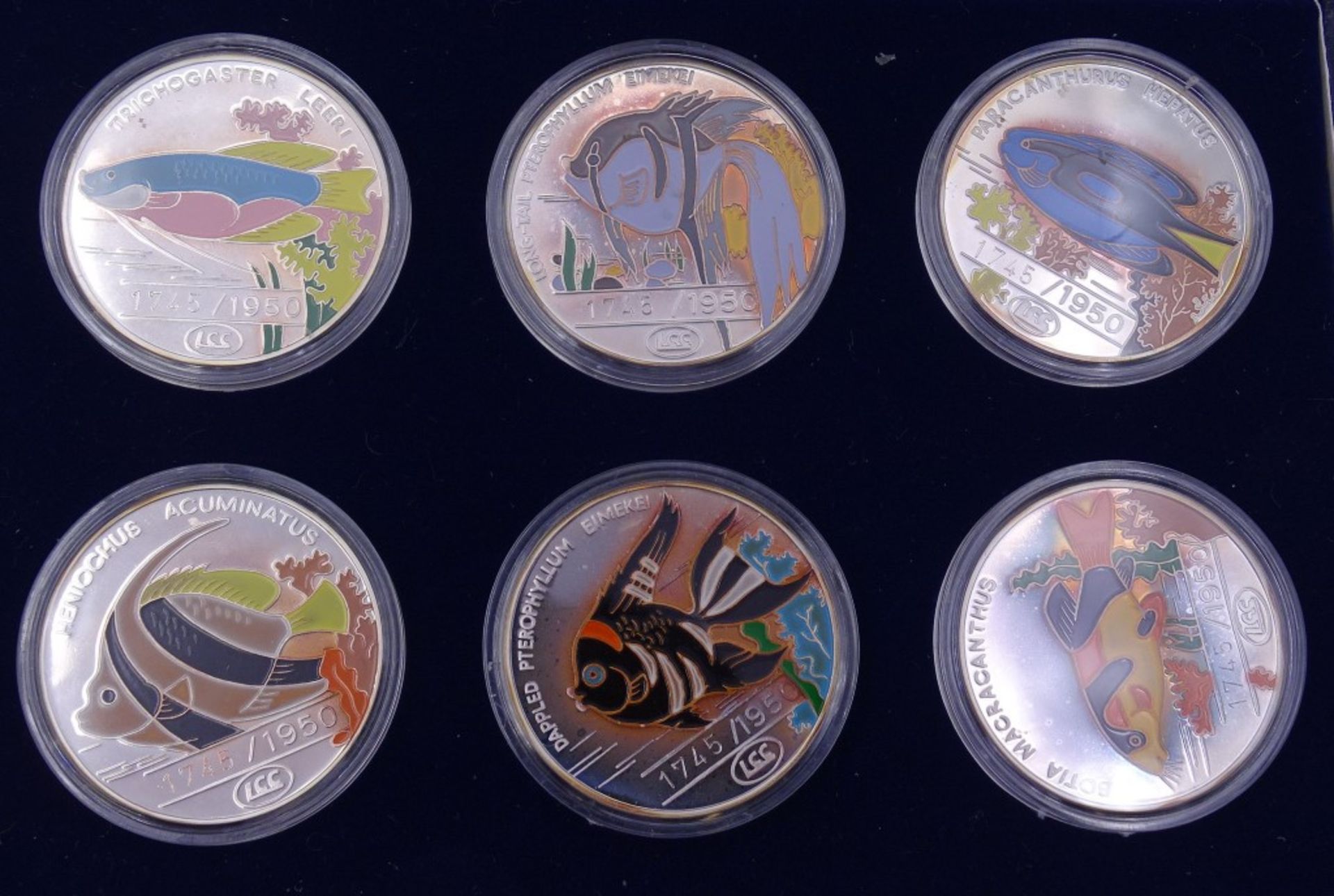 6x 1 Oz Feinsilber 999 Münzen je 500 Won 1996 in Schachtel,Limitierte Auflage - Bild 2 aus 3