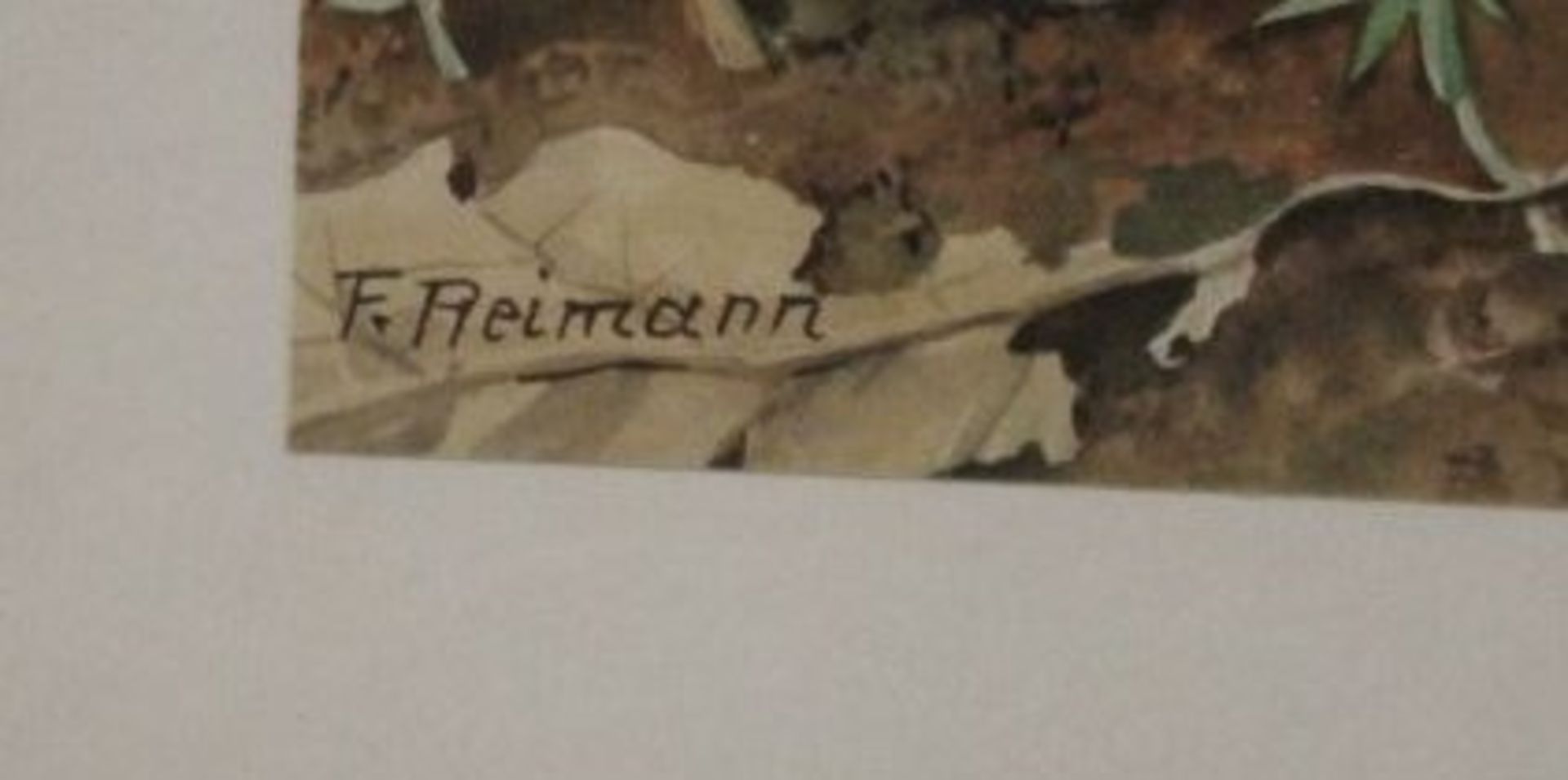 Friedrich REIMANN (1896-1991), Blumen, Aquarelle, je gerahmt/Glas, RG 45,5 x 24,5cm. - Bild 2 aus 2