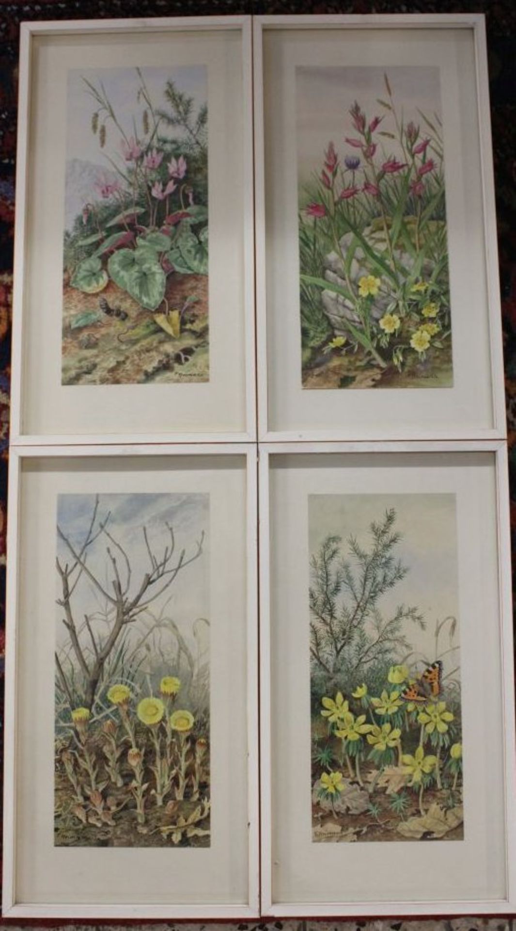 Friedrich REIMANN (1896-1991), Blumen, Aquarelle, je gerahmt/Glas, RG 45,5 x 24,5cm.