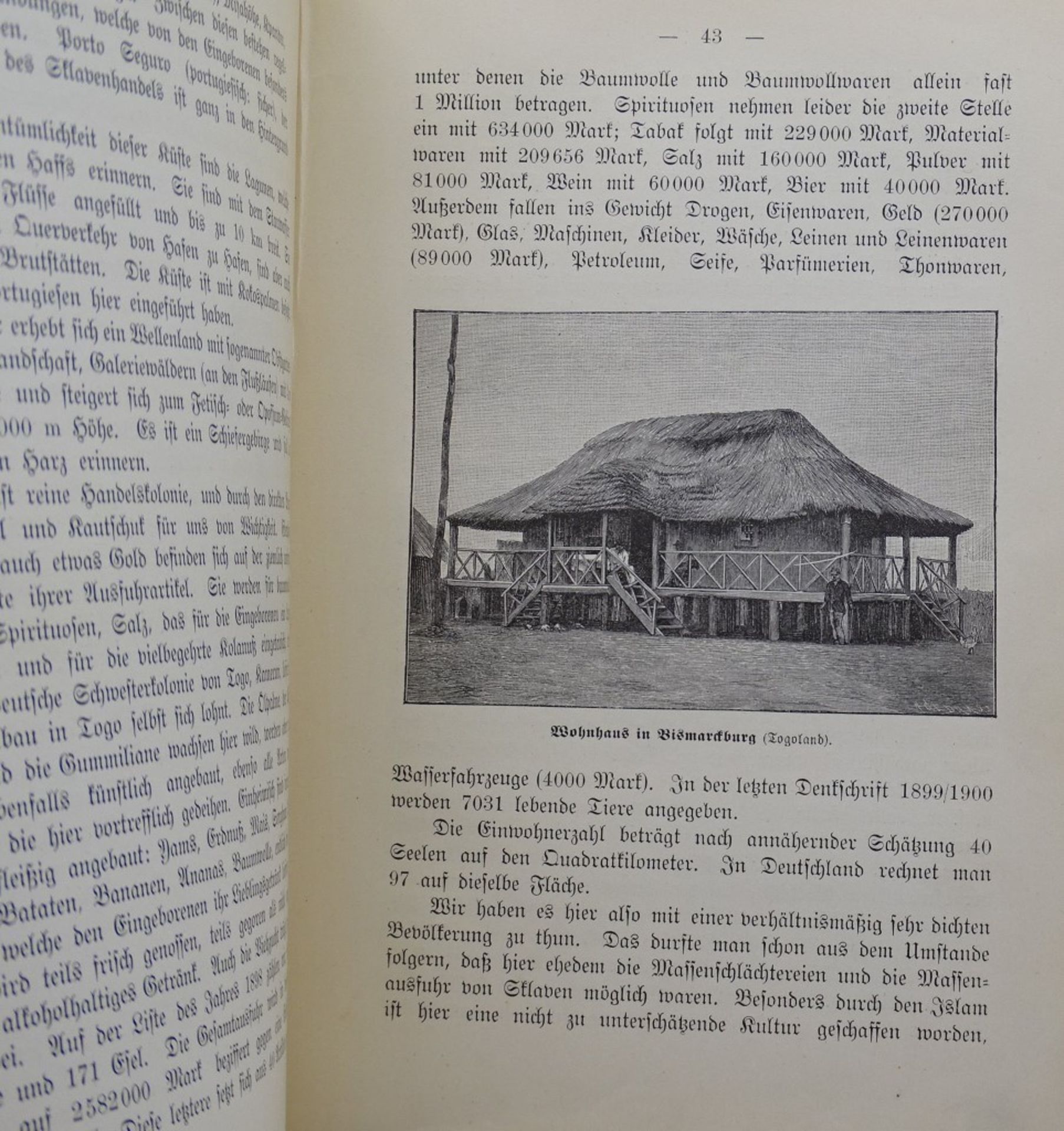 "Das Buch von unsern Kolonien" Berlin 1902,mit 3 bunten und 108 Textbildern - Bild 4 aus 7