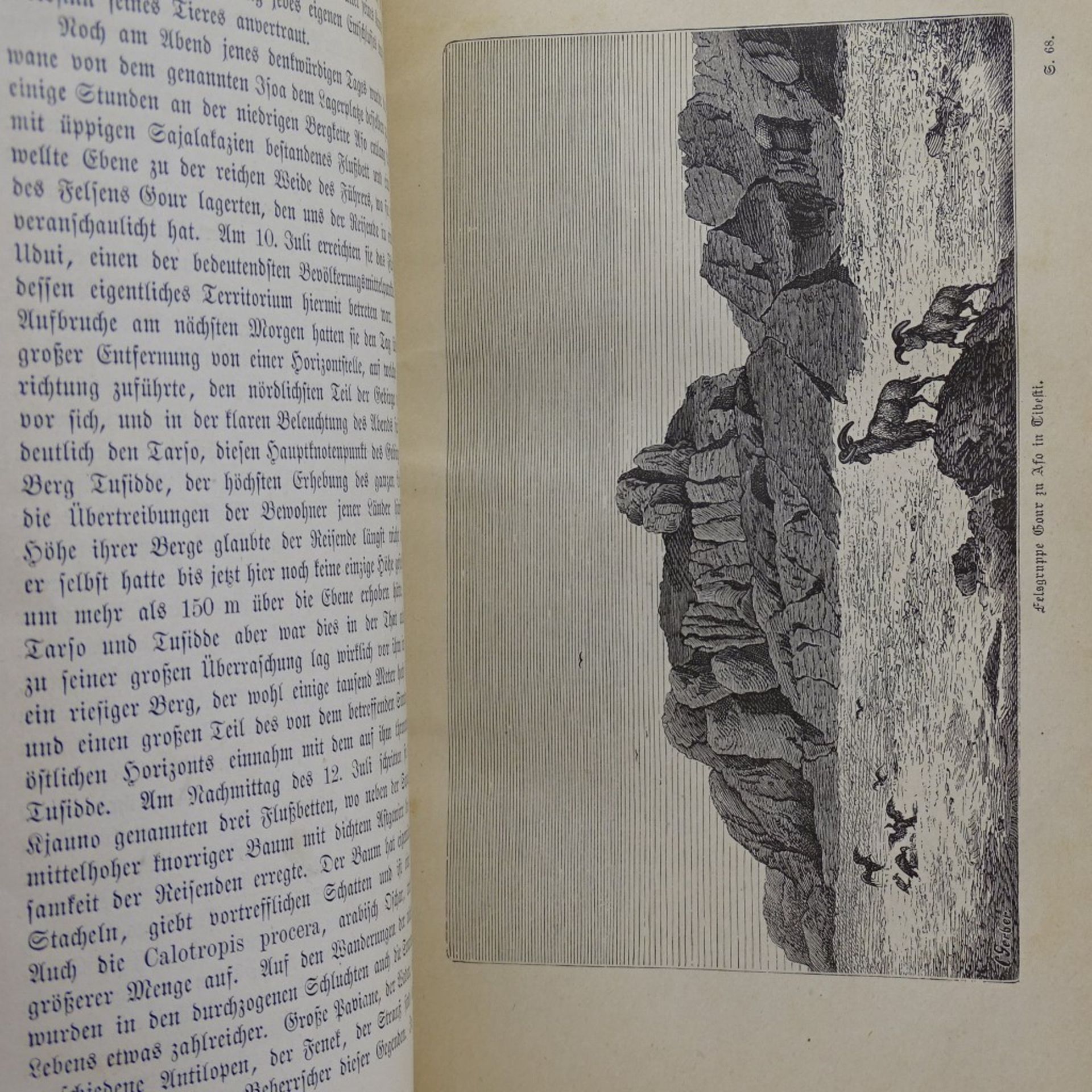 "Reisen in der Sahara und im Sudan" von Gustav Nachtigal, Leipzig 1887, - Bild 5 aus 8