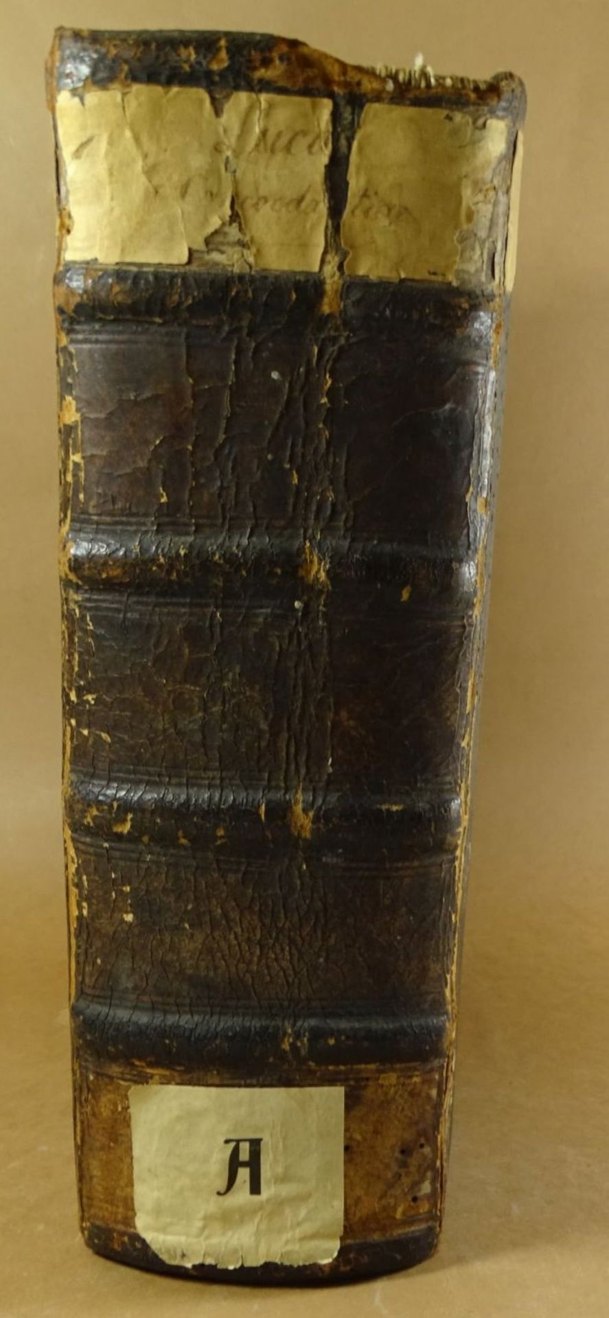 lateinische Bibel von 1615, Holzeinband der Zeit, mit Wurmschäden, desgleichen ersten beiden