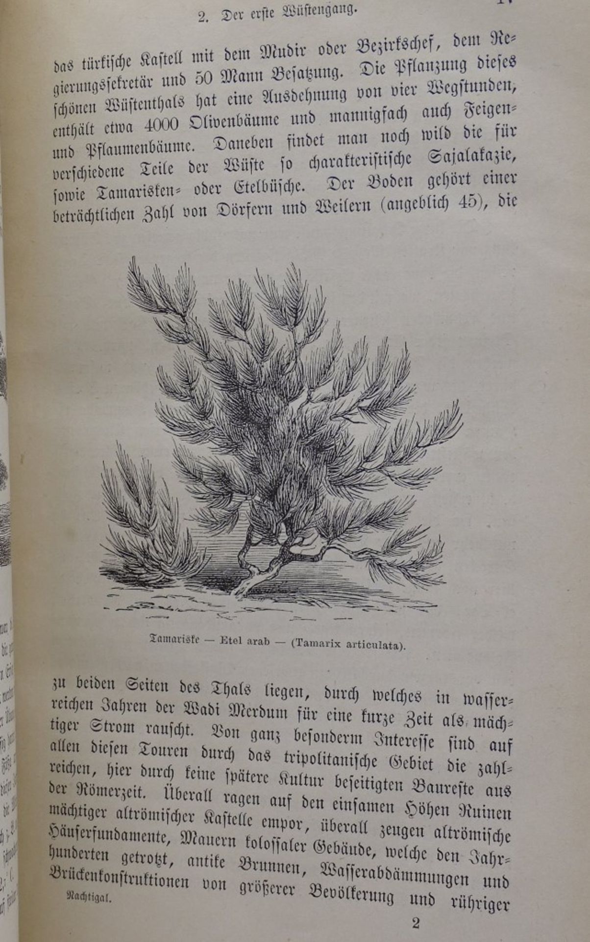 "Reisen in der Sahara und im Sudan" von Gustav Nachtigal, Leipzig 1887, - Bild 8 aus 8