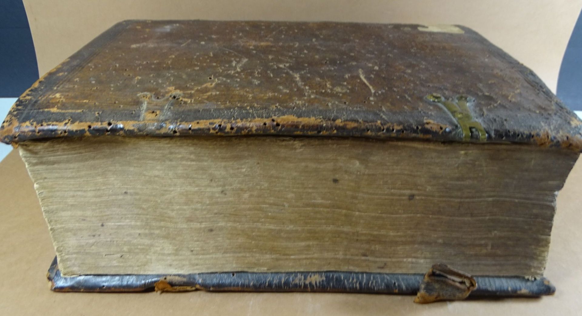 lateinische Bibel von 1615, Holzeinband der Zeit, mit Wurmschäden, desgleichen ersten beiden - Bild 5 aus 10