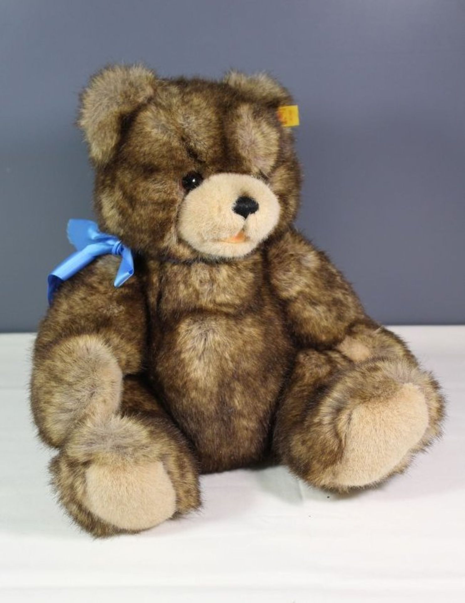 Teddy von Steiff, K & F, Nr. 017803.