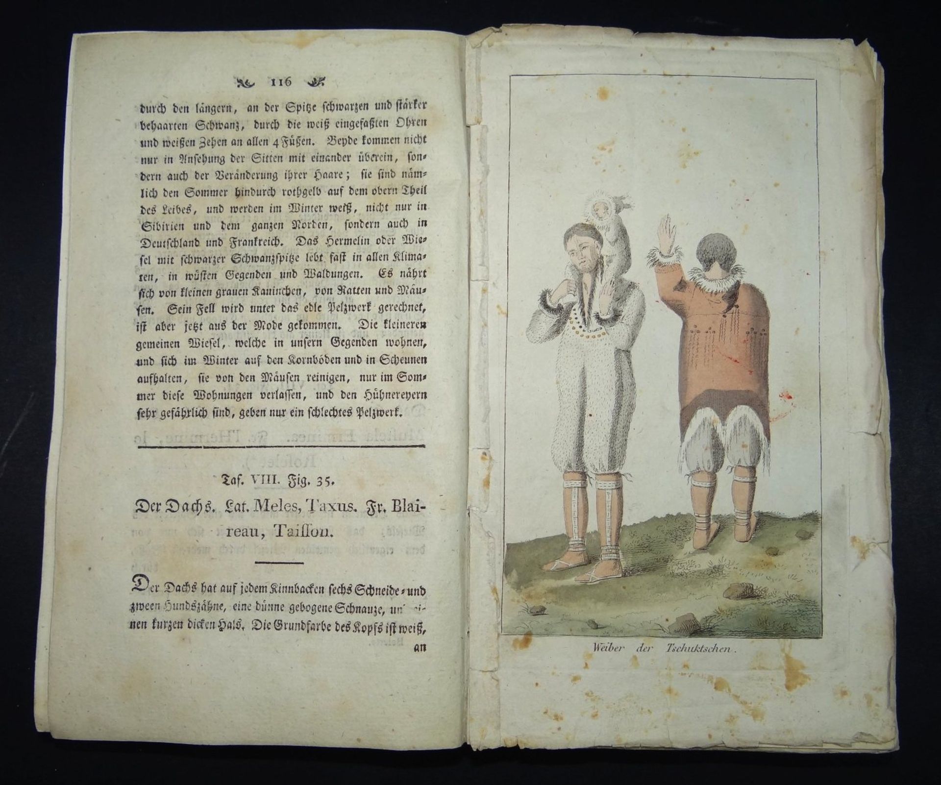 Bilder-Gallerie für junge Söhne und Töchter" 1805, 1. Band mit 151 Abb., (Vollständigkeit nich - Bild 5 aus 8