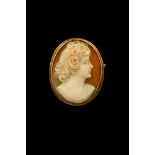 14 kt gold brooch with a cameo on sardonyx