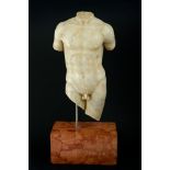 Manly torso early 20th century, in Carrara marble, base in red Verona marble63 x 27 cm