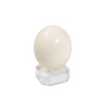 Ostrich egg, mounted on a plexiglass baseh 19 cm