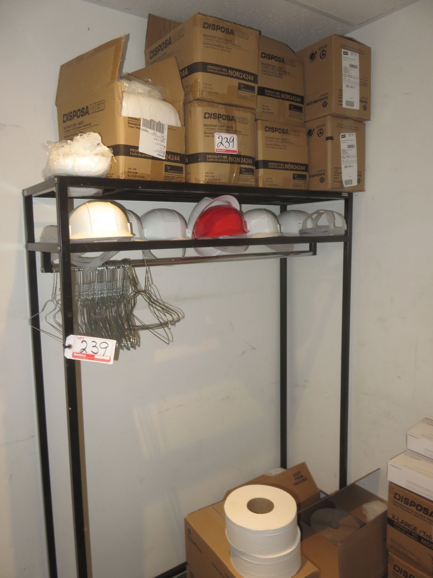 LOT - DISPOSABLE BOUFFANT CAPS, LARGE DISPOSABLE GLOVES, GARBAGE BAGS, & COAT RACK