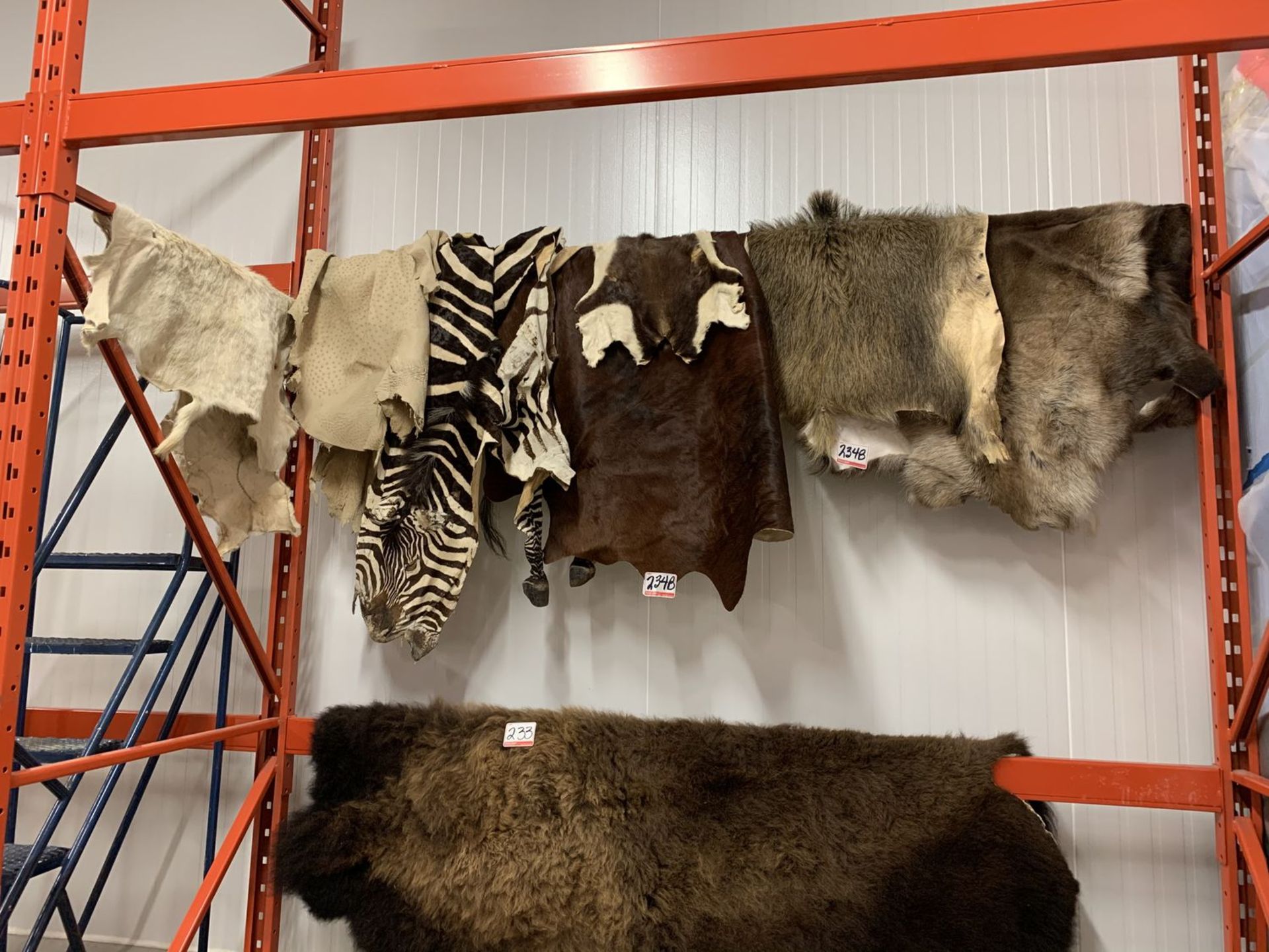 LOT - ASSORTED ANIMAL PELTS (6 PIECES)