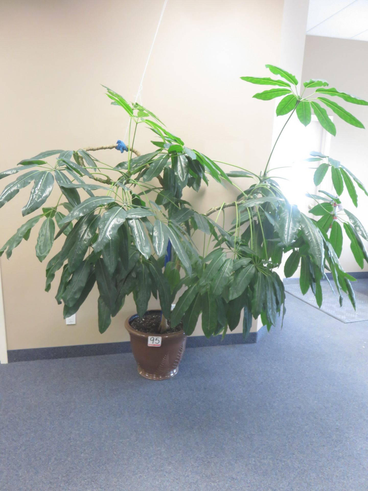 BROWN PLANTER W/ TROPICAL 6'H PLANT