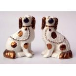 Pärchen alte Staffordshire Hunde<