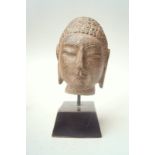 Kopf des Buddha, China, Tang Dynastie- Stil