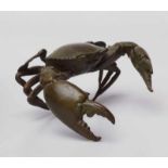 Lebensgroße Krabbe (Brachyura) in Angriffshaltung, Bronze, Japan 20.Jhd.