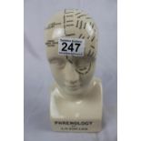 Phrenology porcelain model of a head